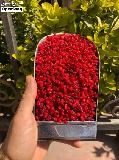 أضف لوناً وطعماً مميزاً إلى مائدتك زرشک أعلـى مشهد في إيران، طازج ونظيف وجاهز للاستخدام توصيل مجاني 2