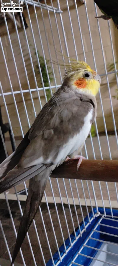 undefined 2