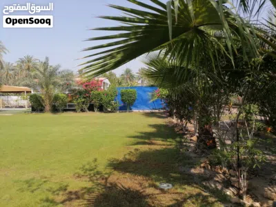 مزرعة الراحة 3