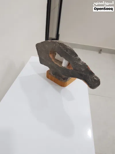 صخرة على شكل وجه طائر 3