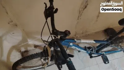 ماركه بسكليت أمريكي 3