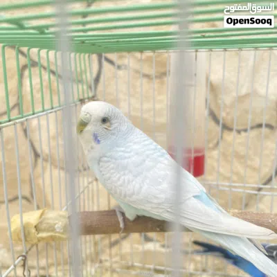 undefined 3