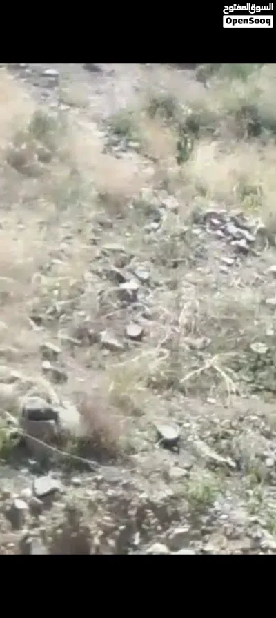 اراضي للبيع في مدينه اب ميتم بسعر مغري جدا على الشارع الفرعي 3
