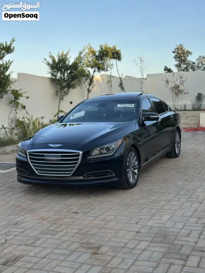 Genesis Other 2