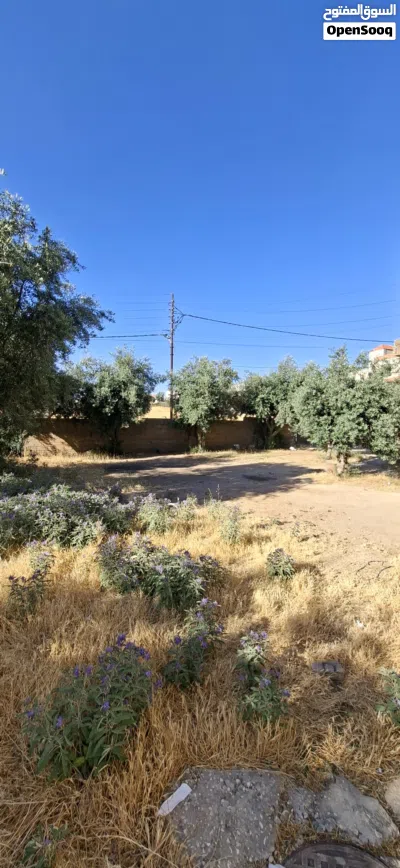عماره 3 طوابق حجر المامونيه الشرقيه 4