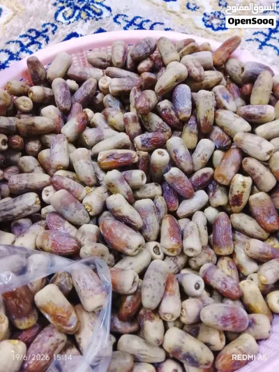 تمر نغال للبيع 4