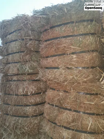for sale Oaten hay special for horse 2