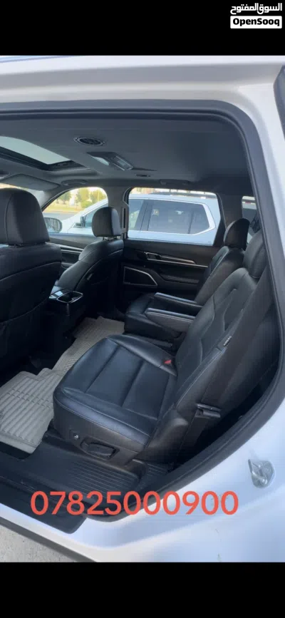 Kia Telluride SX 3