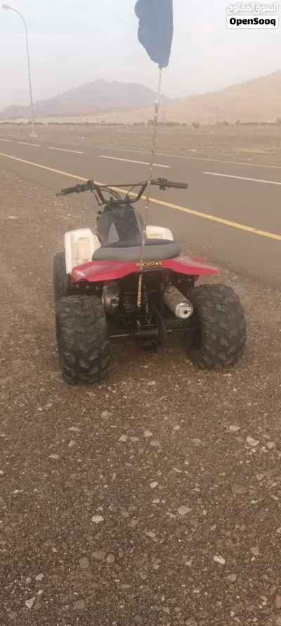 Buggy All Models 3