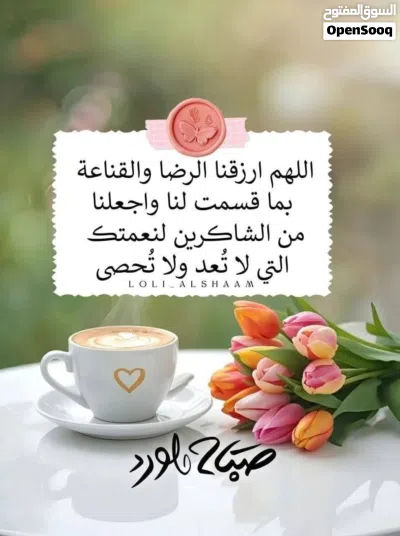 فيلا البيع سعرها كويس 3دوار 3