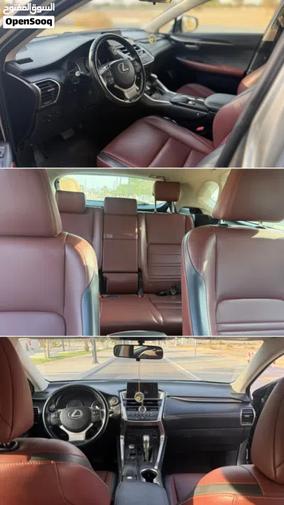 Lexus NX Standard 2