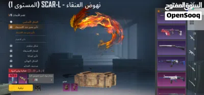 undefined 4