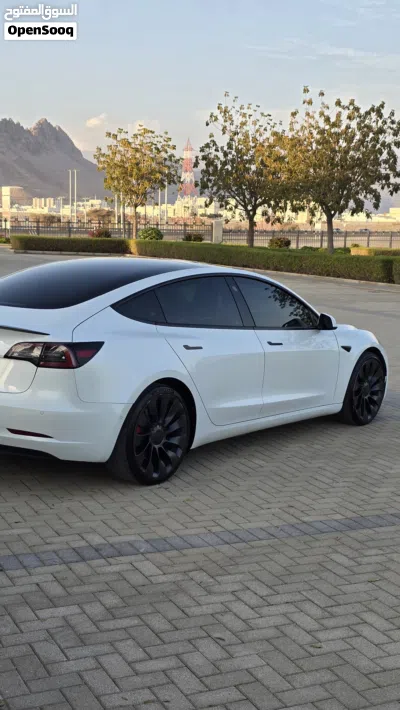 Tesla Model 3 Performance 3