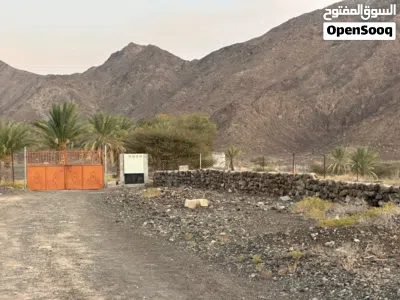 مزرعة للبيع في ولاية إزكي في منطقة الرسيس يوجد في المزرعة فلج خاص لها المزرعة موقعها إستراتيجي مميز 3