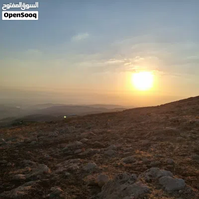 ارض في ماحص للبيع بسعر مغري جدا جدا من المالك مباشرة على ثلاث شوارع موقع مميز 4