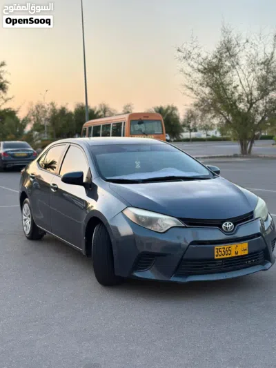 Toyota Corolla LE 3