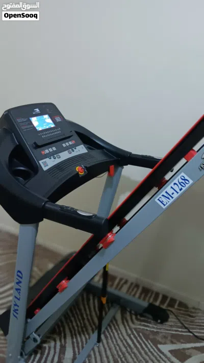 Skyland Treadmill 3