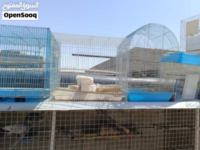 اقفاص مستخدمة للبيع 2