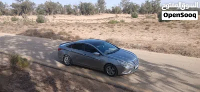 Hyundai Sonata Limited 4