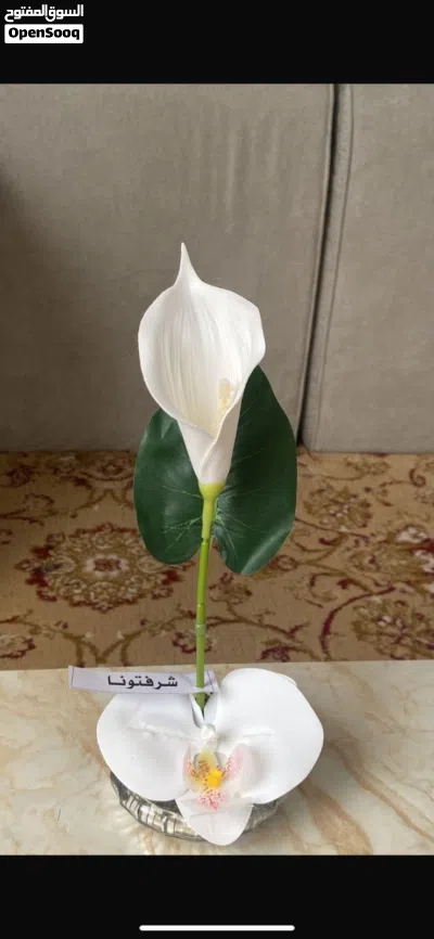 ورد أنيق وجذاب للمناسبات 2