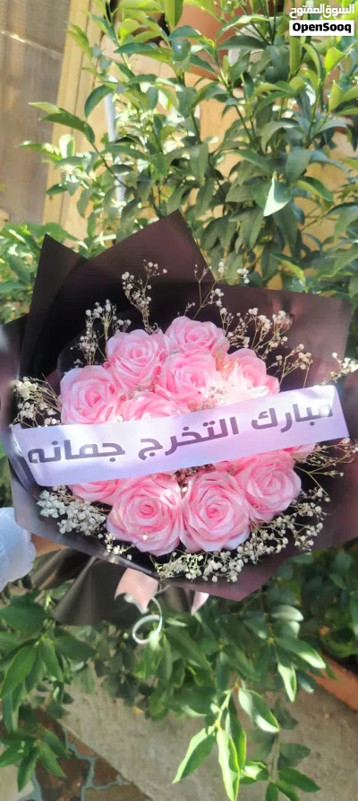 ورود ستان تحاكي الطبيعي فاخرة 2