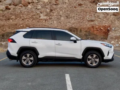 Toyota RAV 4 XLE 4