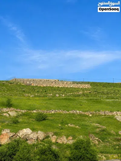 5 دونمات للبيع 2