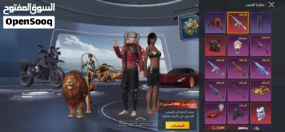 حساب ببجي للبيع 2