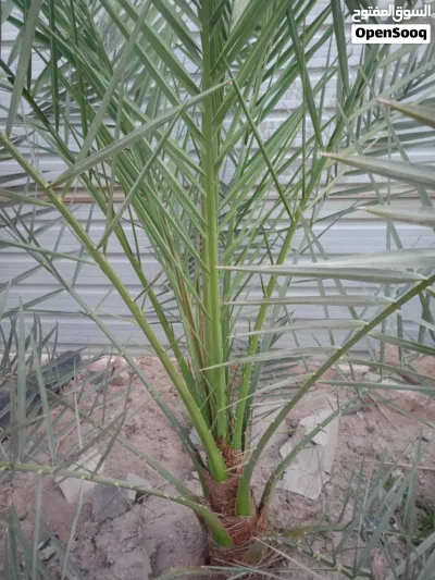 undefined 2