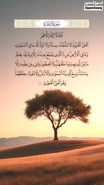 شقة للبيع الدور الثاني الباعيش. 2