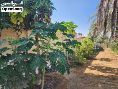 مزرعة فدان باستراحة صغيرة من المالك مباشرة وبئر ماء خاص، وكهرباء ومساحة بناء وتصريح 3