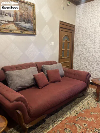 تخم ايراني بسعر مناسب 4