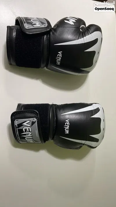Boxing Bag + Gloves 4