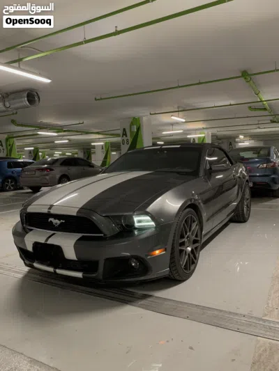 Ford Mustang Standard 2