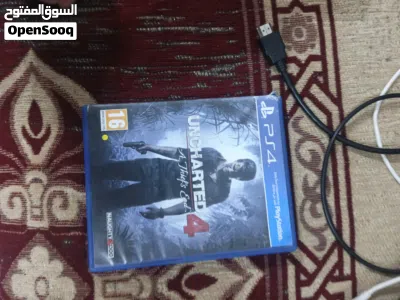 undefined 3