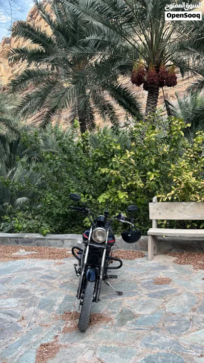 باجاج افنجر 3