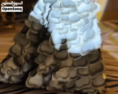 فستان ملكة تصميم خاص عالي الجودة 2