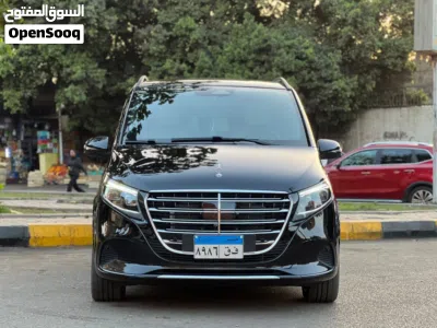 Mercedes Benz V-Class V 300 2