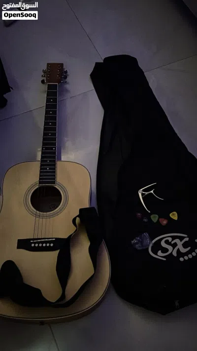 SX Professional Acoustic Guitar for Sale 4