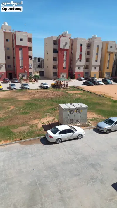 شقه في مقسم النخيل 2