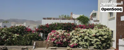 Rent Furnished Villa in Qurum near PDO street 2