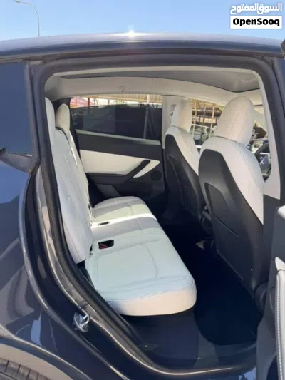 Tesla Model Y Standard Range 2