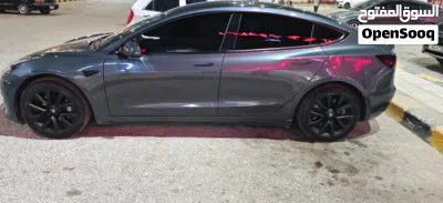 Tesla Model 3 Standard Plus 2