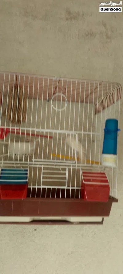 undefined 2