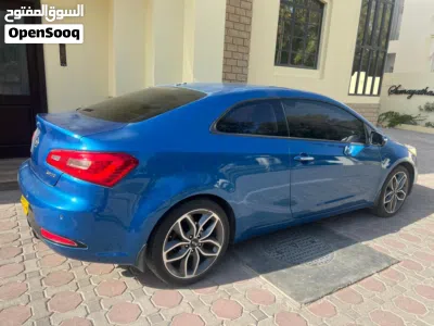 undefined 4