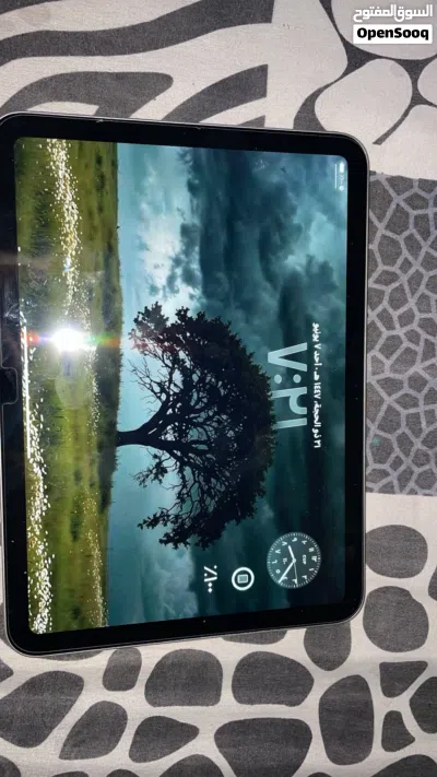 ايباد ابل للبيع 3