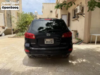 Hyundai Santa Fe Standard 2