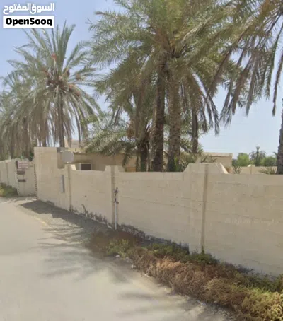 ارض زراعيه في صحم للبيع 4