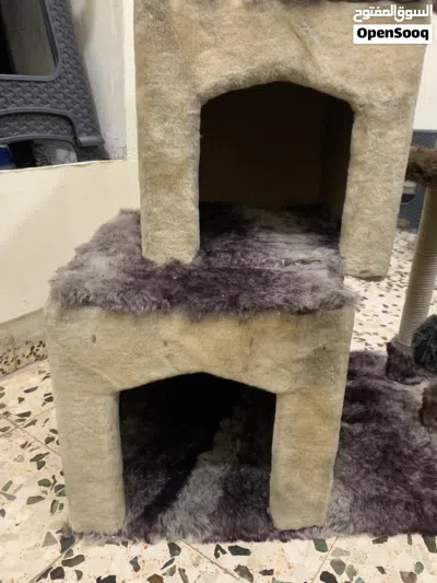 بيت قط للبيع 3