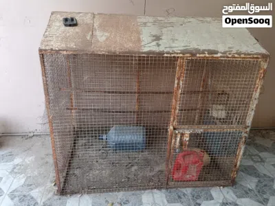 undefined 2